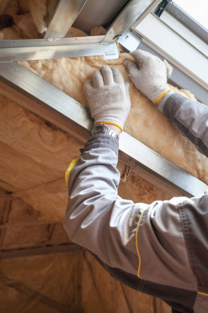 Best Types of Insulation in Murphys, CA